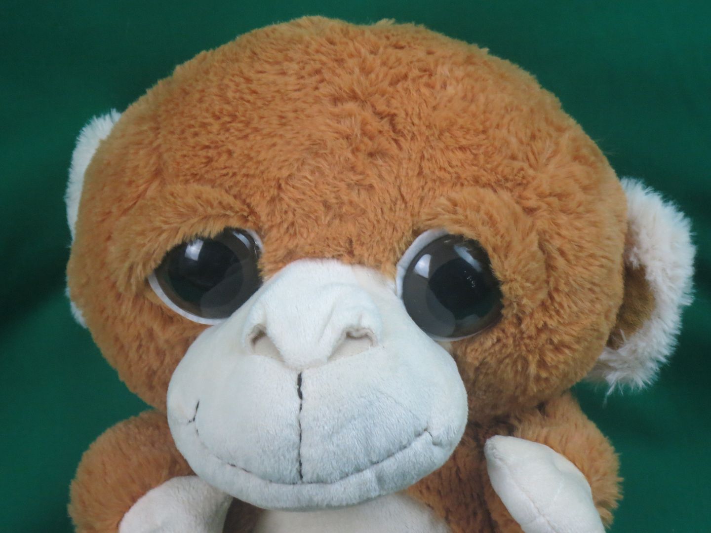 stuffed animal head